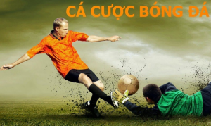 Mẹo cá cược bóng đá - Chia sẻ phương pháp chơi luôn thắng