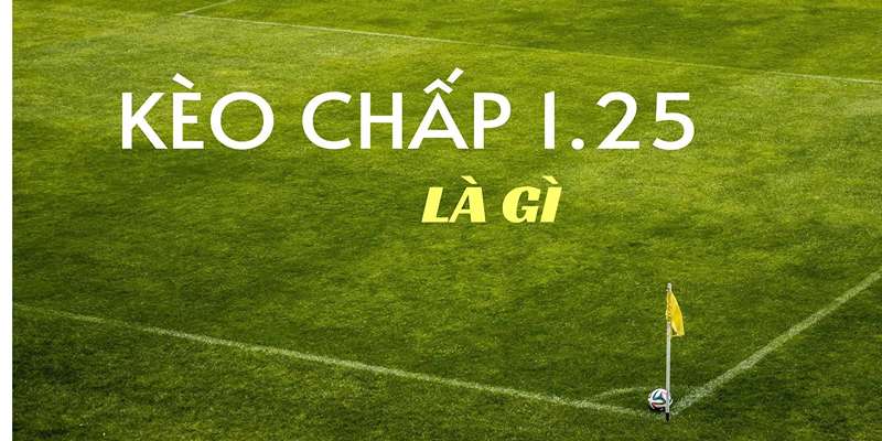 Kèo 1 1.5 Là Gì? Chi Tiết Một Số Kinh Nghiệm Chơi Hiệu Quả 