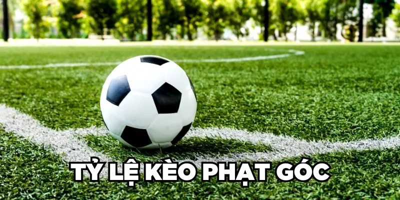 Tỷ Lệ Kèo Phạt Góc Là Gì? 5 Mẹo Cược Góc Đỉnh Cao 2024