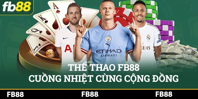 Không thể bỏ qua cá cược tại sảnh thể thao online