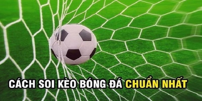 Những Loại Cược Trong Soi Kèo Bóng Đá Bet Thủ Thường Chơi