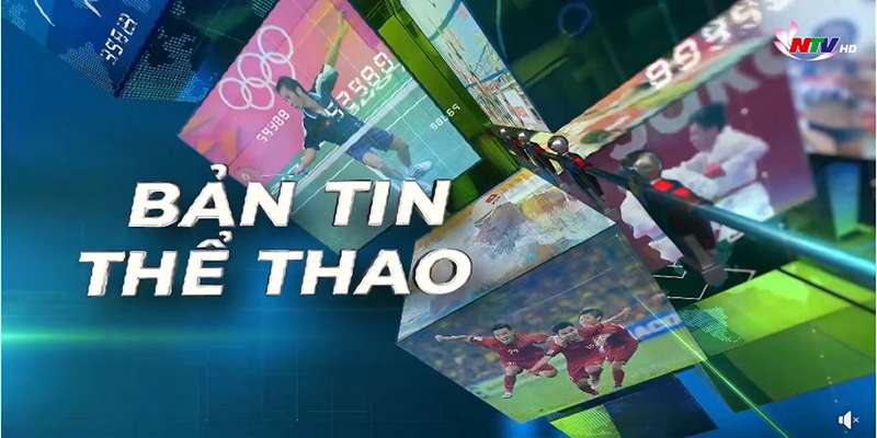 Những sự kiện thể thao Việt Nam được nhà cái quan tâm nhất