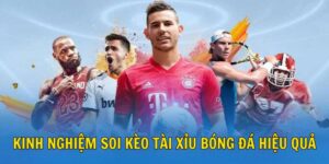 Tài Xỉu Bóng Đá Hôm Nay Đọc Kèo Chuẩn, Gia Tăng Tỷ Lệ Thắng