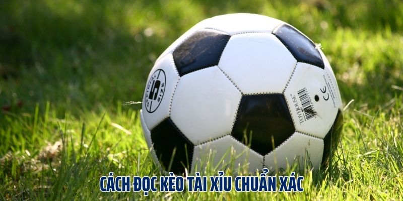 Cách đọc kèo tài xỉu chuẩn xác cho hội viên