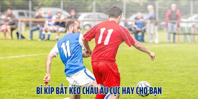 Bí kíp bắt kèo châu Âu cực hay cho bạn