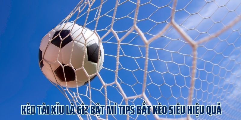 3 tips bắt kèo siêu hiệu quả từ chuyên gia