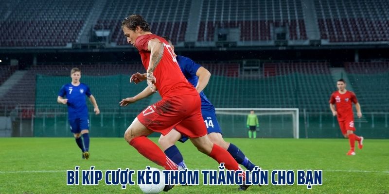 Bí kíp cược kèo thơm thắng lớn cho bạn