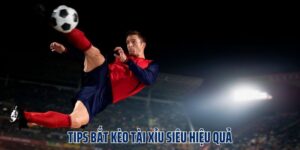 Kèo Tài Xỉu Là Gì? Bật Mí 3 Tips Bắt Kèo Siêu Hiệu Quả