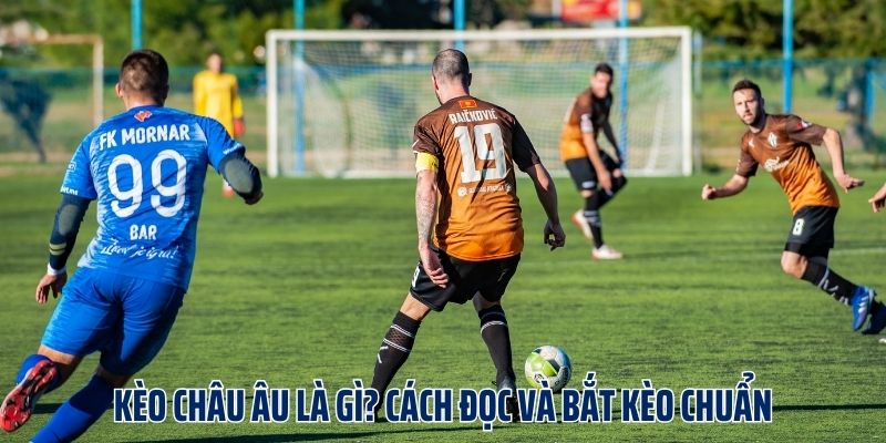 Kèo Châu Âu Là Gì? Cách Đọc Và Bắt Kèo Chuẩn Cho Bet thủ