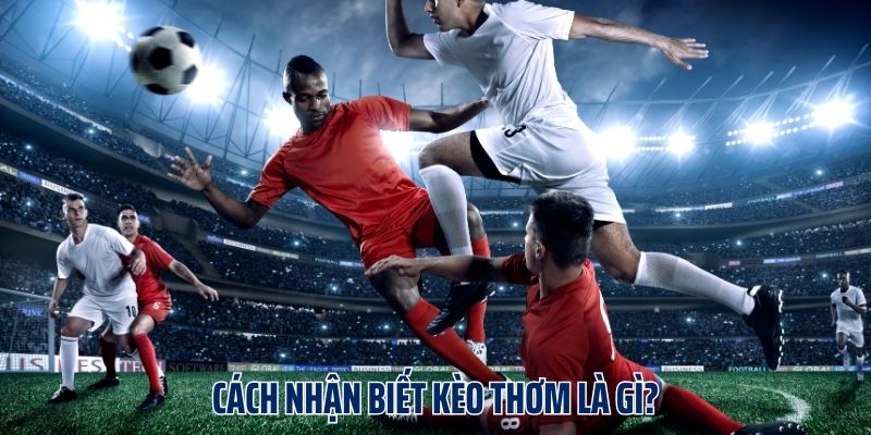 3 cách nhận biết kèo thơm là gì?