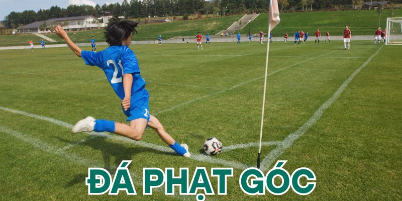 Bí quyết soi kèo đá phạt góc bất bại
