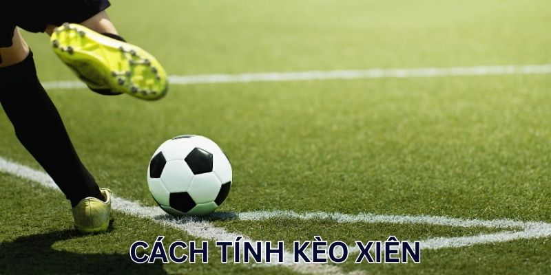 Hướng Dẫn Cách Tính Kèo Xiên Chuẩn Xác Nhất Cho Dân Cá Cược