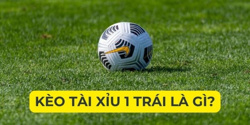 Tài xỉu 1 trái là gì?