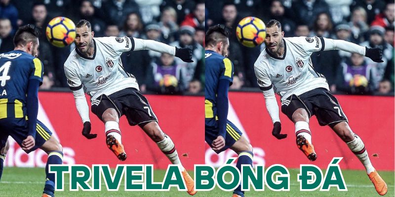 Tìm hiểu về trivela là gì?