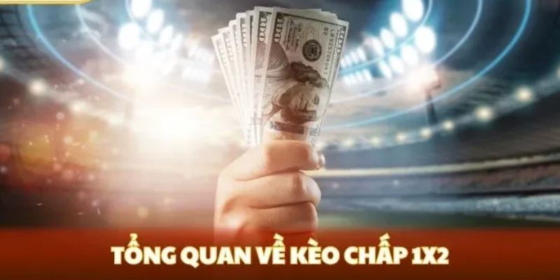 Kinh nghiệm dự đoán 1/2 cược chấp dễ thắng nhất
