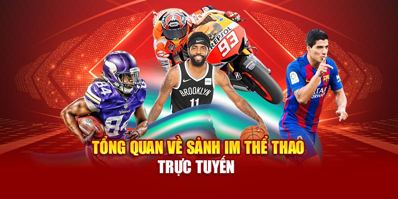 Đôi nét về sảnh IM thể thao