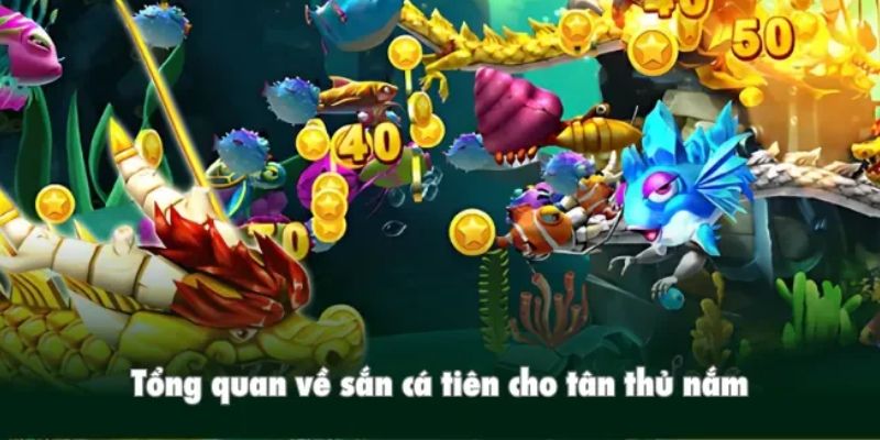 Tổng quan về bắn cá Tiên