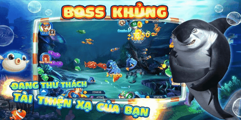 Bắn cá khi thấy chúng vừa xuất hiện
