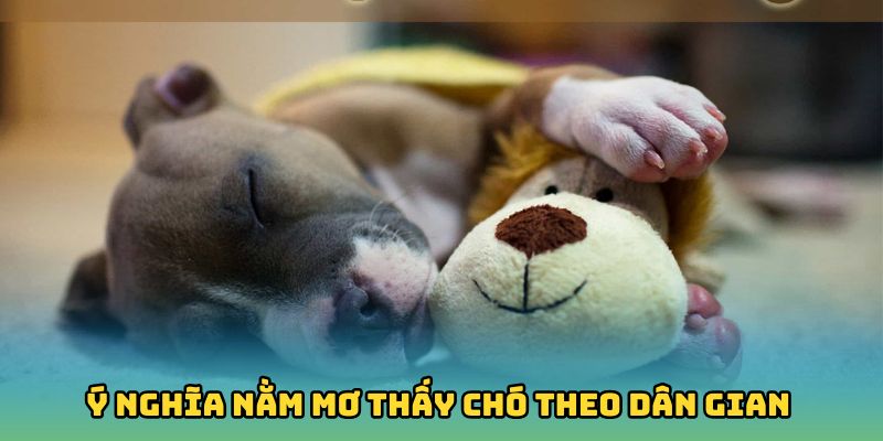 Nằm mơ chó cắn người khác và số may mắn đi kèm