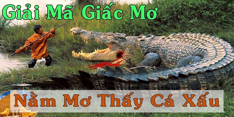 Ý nghĩa nằm mơ thấy cá sấu và con lô tài lộc