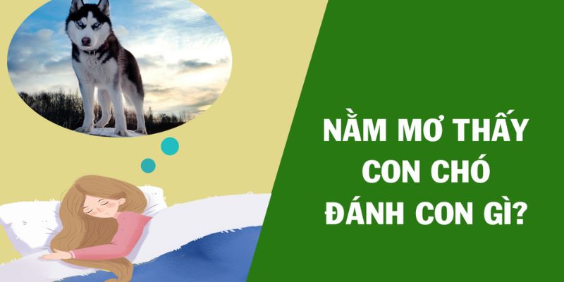 Nằm mơ thấy chó màu đen và ý nghĩa đặc biệt