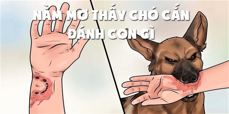 Chia sẻ con số lô đề cực chuẩn khi năm mơ thấy chó cắn