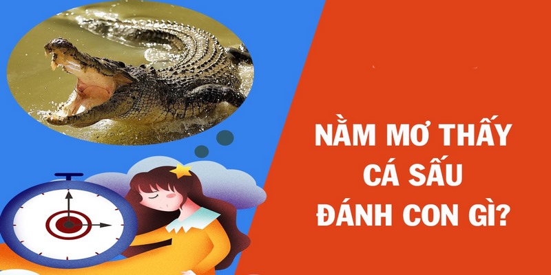 Nằm mơ thấy cá sấu đang bơi trong hồ