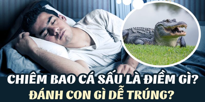 Nằm Mơ Thấy Cá Sấu - Giải Mã Chi Tiết Tìm Con Lô Tài Lộc