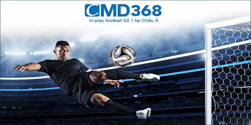 Điều Quan Trọng Về CMD368 Nhà Cái Thể Thao, Có Ai Đã Biết?