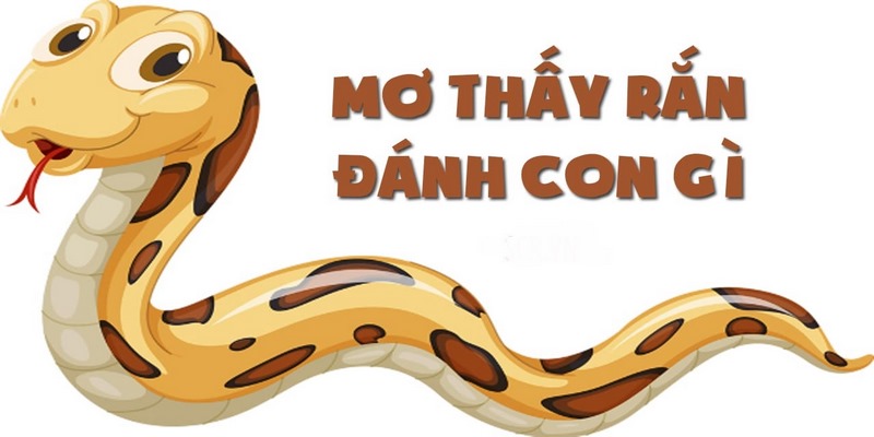 Nằm mơ thấy rắn màu xanh và con số liên quan