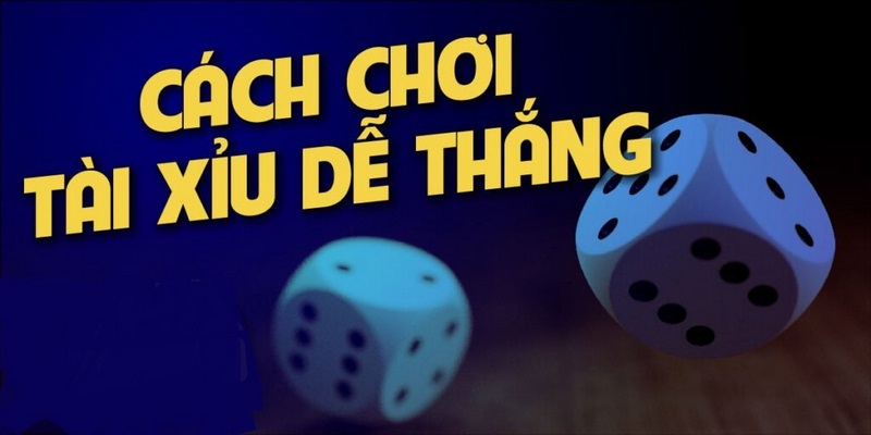 Top 5 kinh nghiệm chơi tài xỉu siêu hiệu quả