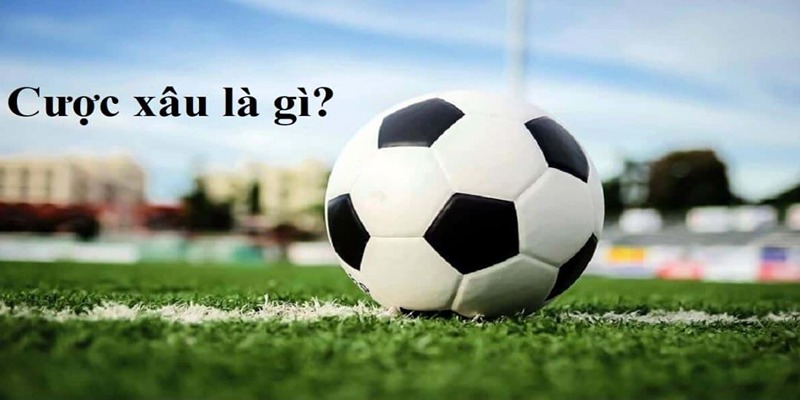 Tìm hiểu chi tiết cược xâu là gì?