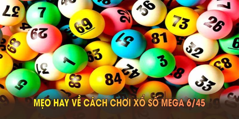 Thông tin giới thiệu khái quát về Mega 6/45