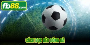 Cách Đọc Kèo Bóng Đá