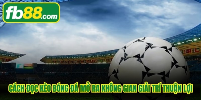 Cách đọc kèo bóng đá thành thạo mở ra không gian giải trí vô cùng thuận lợi
