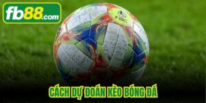 Cách Dự Đoán Kèo Bóng Đá