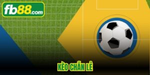 Kèo Chẵn Lẻ