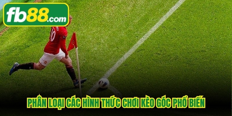 Phân loại các hình thức chơi kèo góc phổ biến