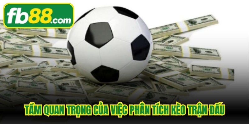 Tầm quan trọng của việc phân tích kèo trận đấu