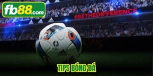Tips Bóng Đá