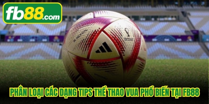 Phân loại các dạng tips thể thao vua phổ biến tại FB88