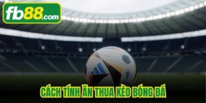 Cách Tính Ăn Thua Kèo Bóng Đá