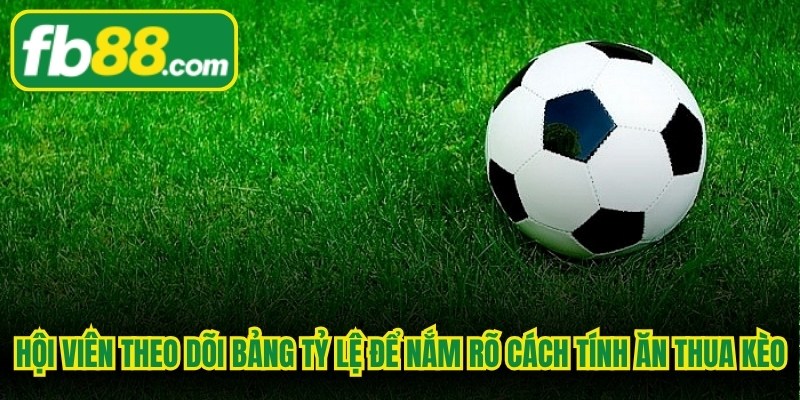 Hội viên theo dõi bảng tỷ lệ để nắm rõ cách tính ăn thua kèo bóng đá