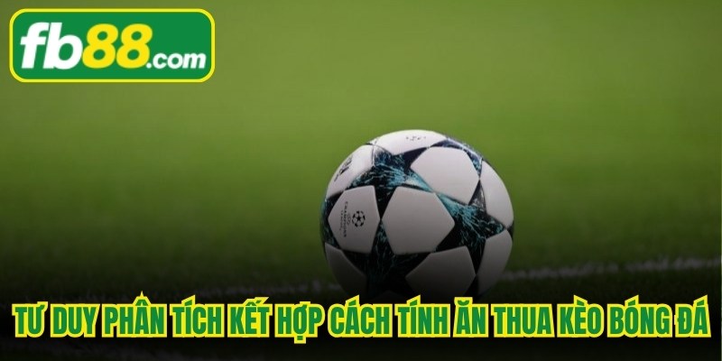 Tư duy phân tích kết hợp cách tính ăn thua kèo bóng đá đem lại hiệu quả