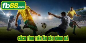 Cách Tính Tiền Ăn Kèo Bóng Đá