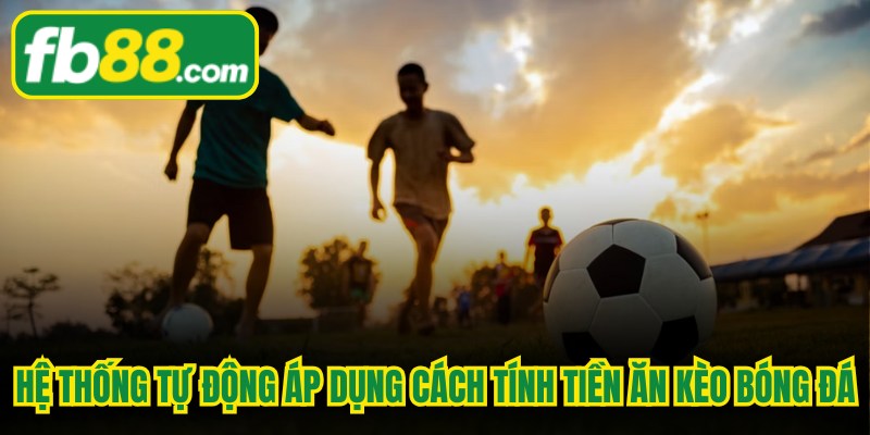 Hệ thống tự động áp dụng cách tính tiền ăn kèo bóng đá 
