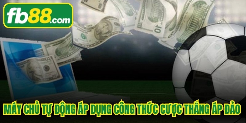 Máy chủ tự động áp dụng công thức cược thắng áp đảo khi bạn nhập tiền