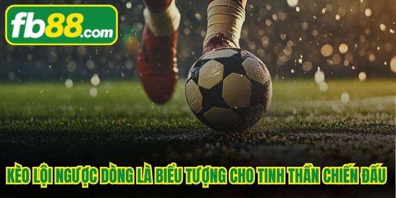 Kèo lội ngược dòng chính là biểu tượng cho tinh thần chiến đấu không bỏ cuộc