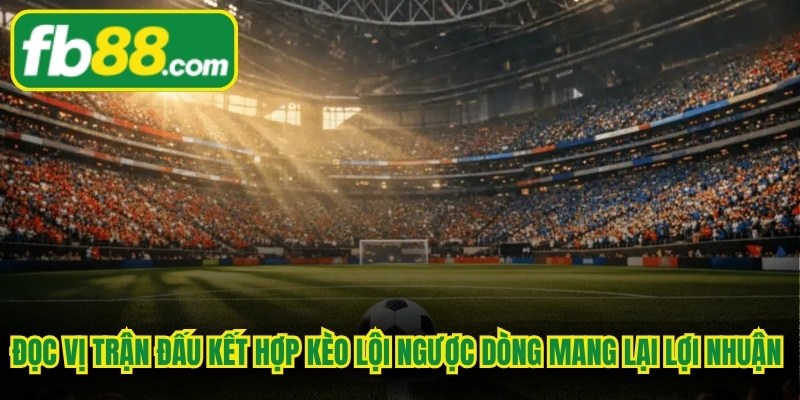 Đọc vị trận đấu kết hợp kèo lội ngược dòng mang lại lợi nhuận khổng lồ
