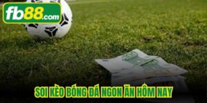 Soi Kèo Bóng Đá Ngon Ăn Hôm Nay